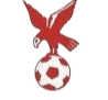 https://img.jianzhujuanyangji.com/img/football/team/4802d26df935b78bb2fcdbbff36e8864.png