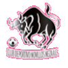 https://img.jianzhujuanyangji.com/img/football/team/97c3ef30cac48cadff97605e387feefa.png